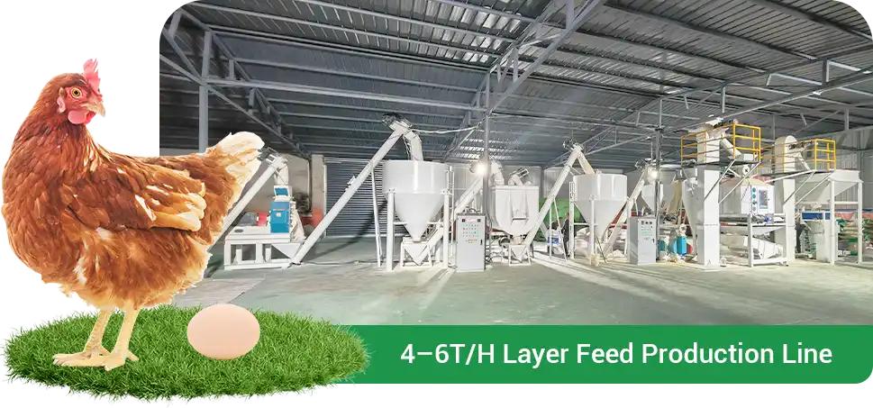 layer feed production line case