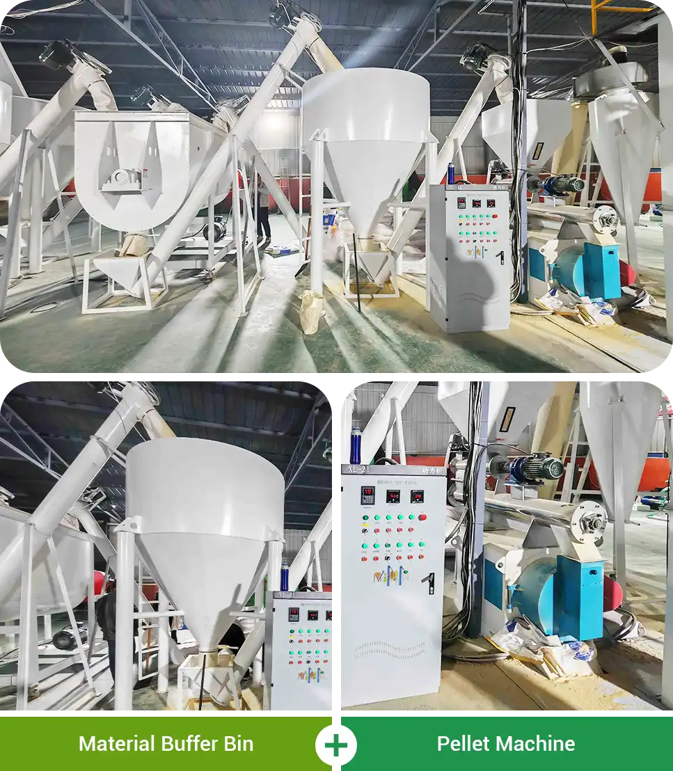 layer feed production pelletizing system