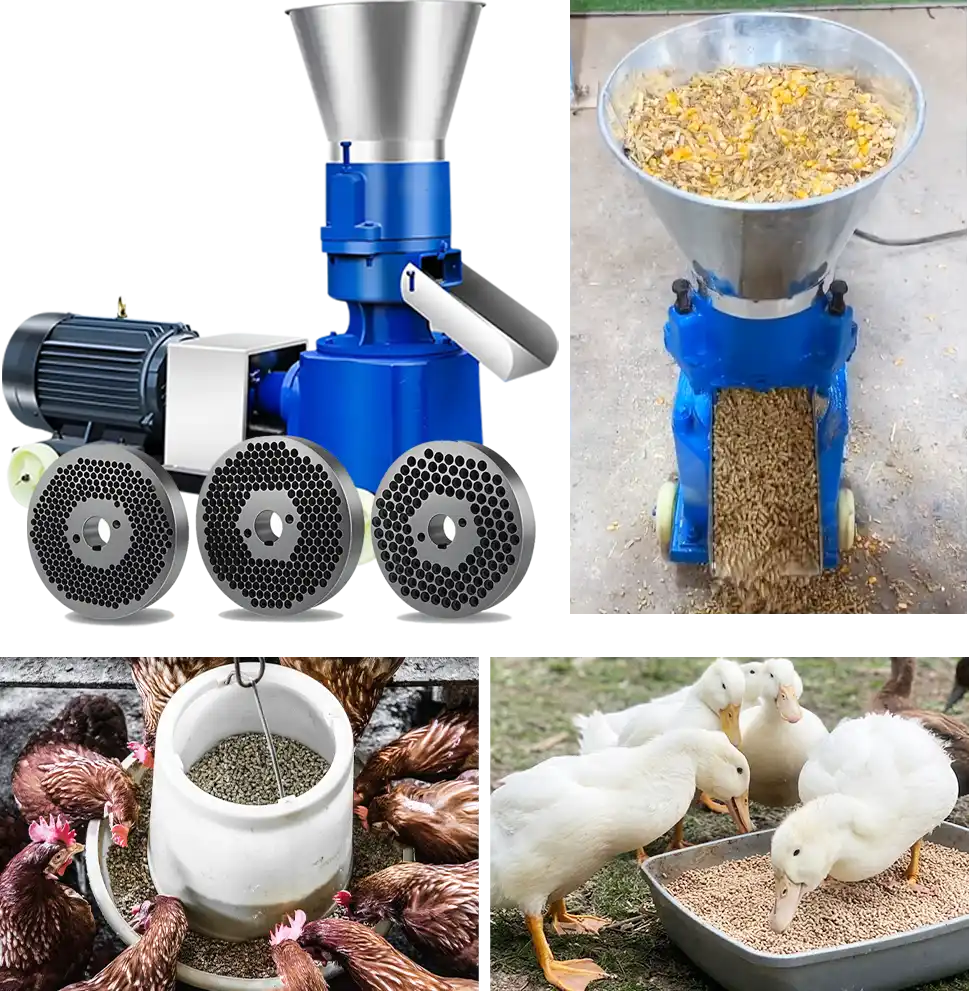 low cost corn feed production solution