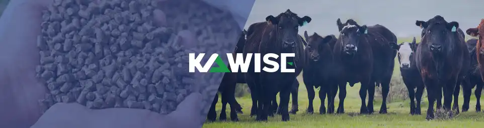 make beef cattle with kawise machine
