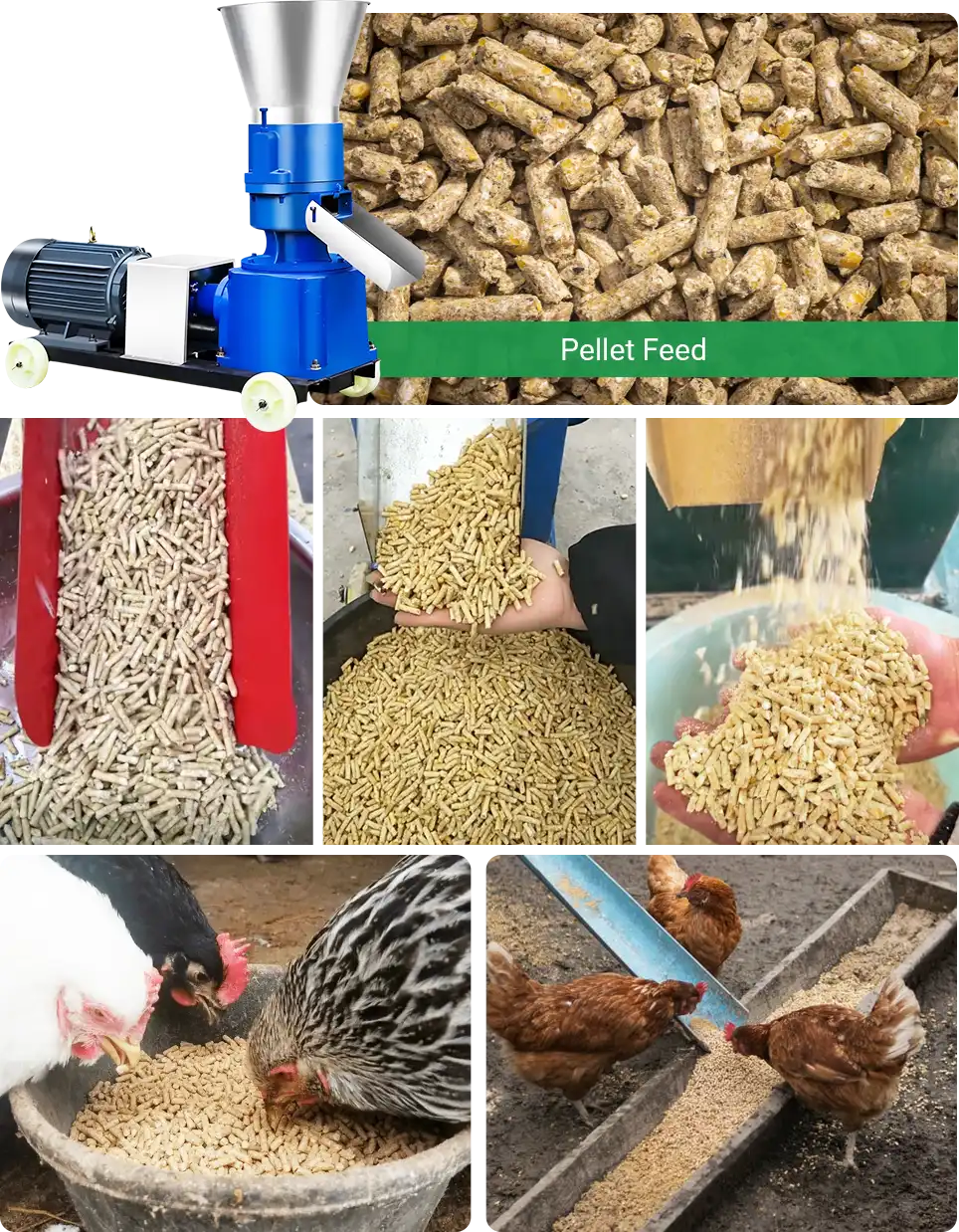 make broiler feed with kawise pellet machine