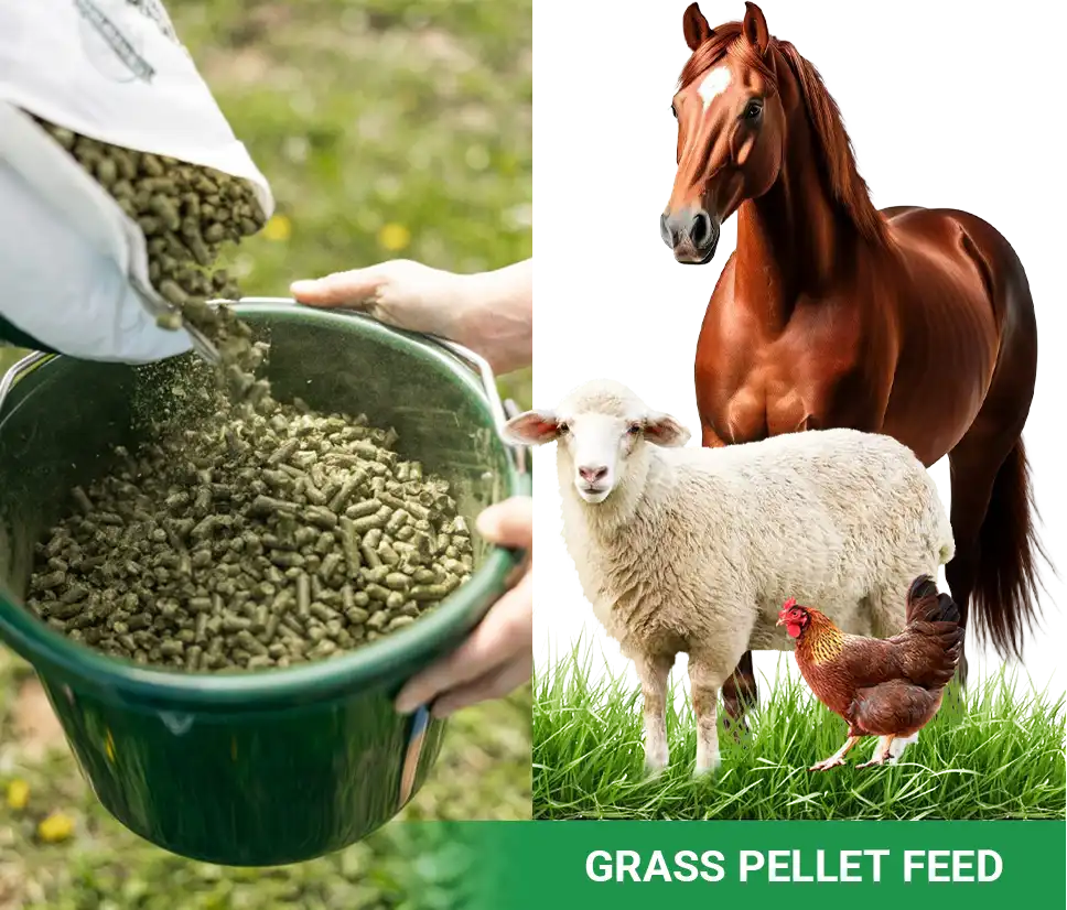 make grass pellet feed
