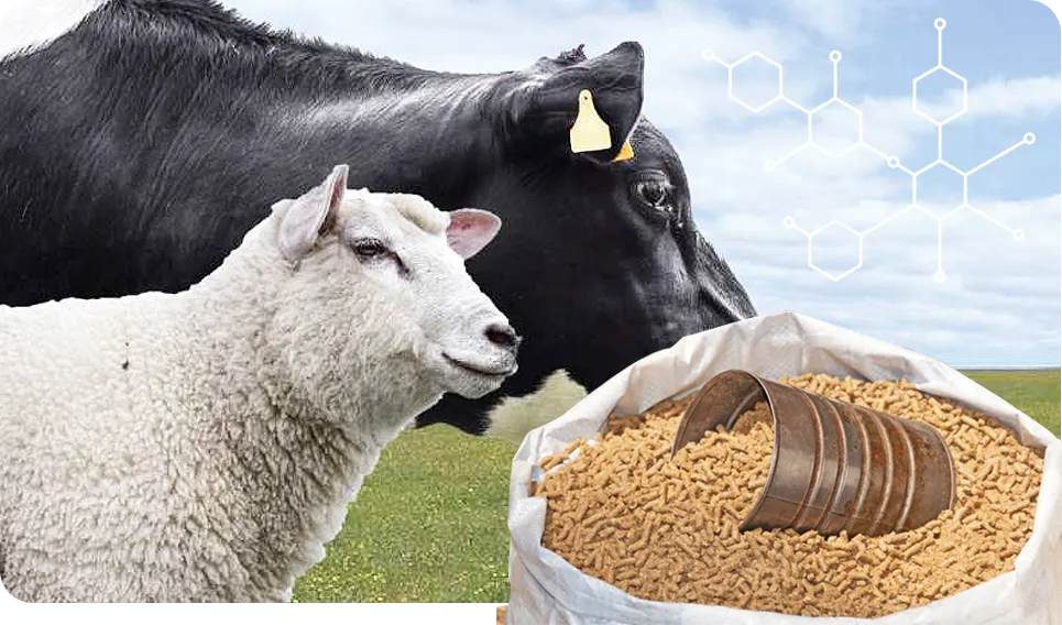 matching ruminant feed needs