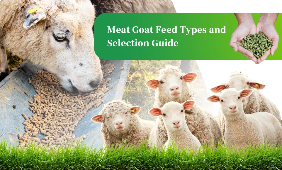 meat and goat feed types and selection