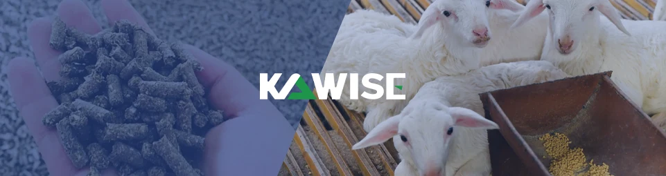 meat sheep feed types and selection