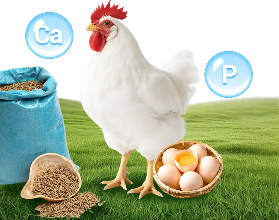 mineral and vitamin feeds