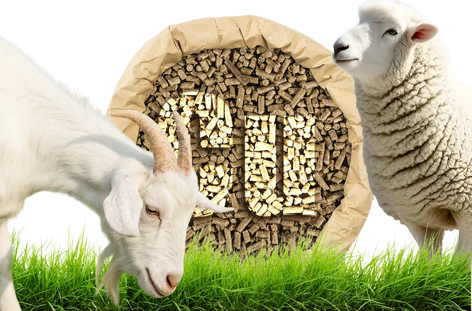 mineral requirement differences for goats and sheep