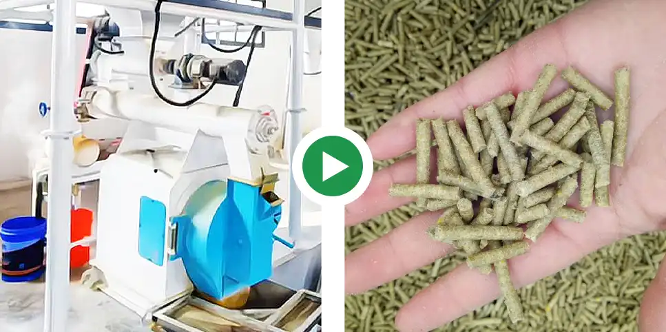 pelletizing grass into pellets