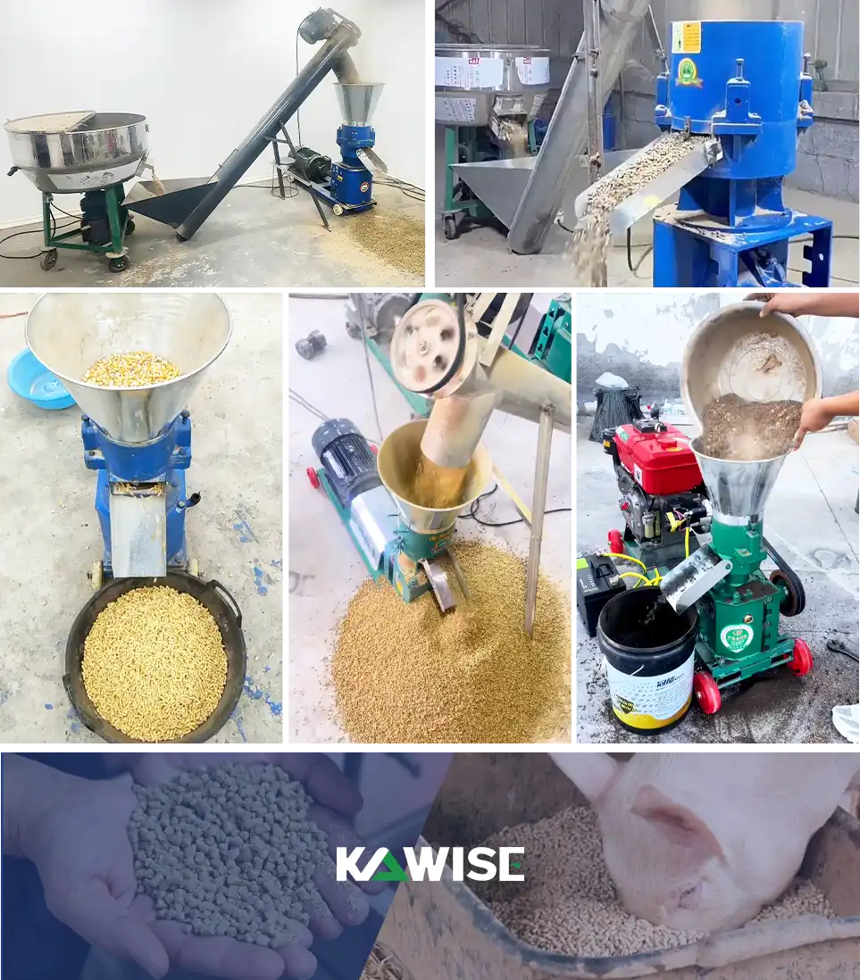 pig feed pellet production line solution