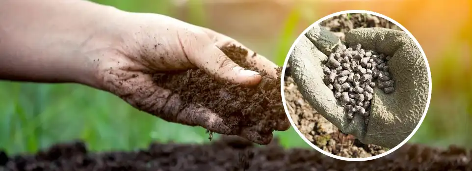 pine pellets for garden soil additive
