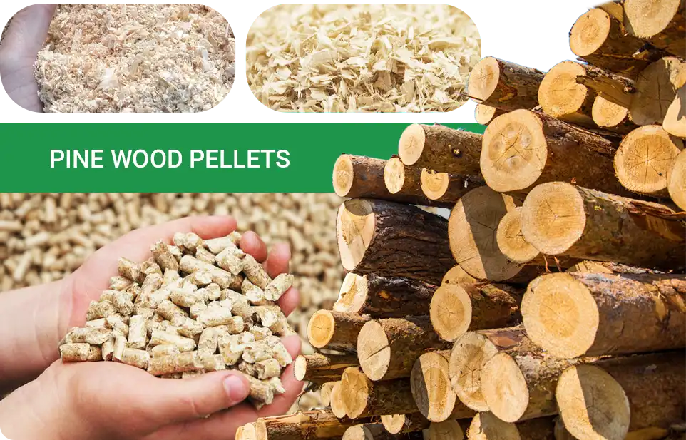 pine wood pellets