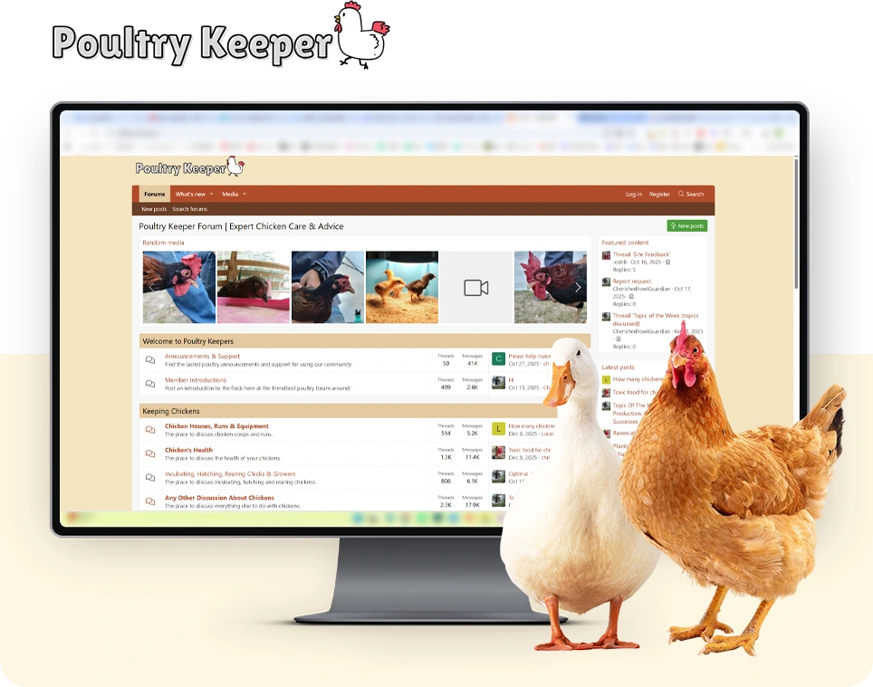 poultry keeper