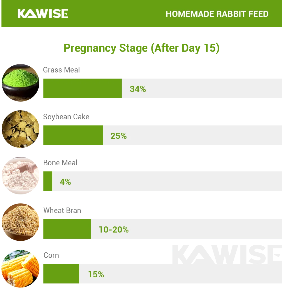 pregnancy stage rabbit formula