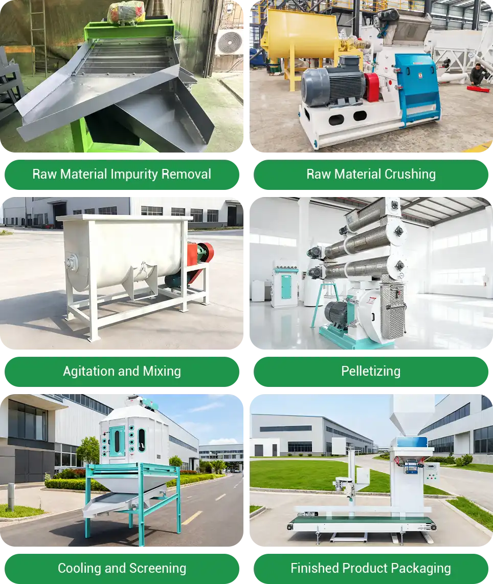 process and equipment setup