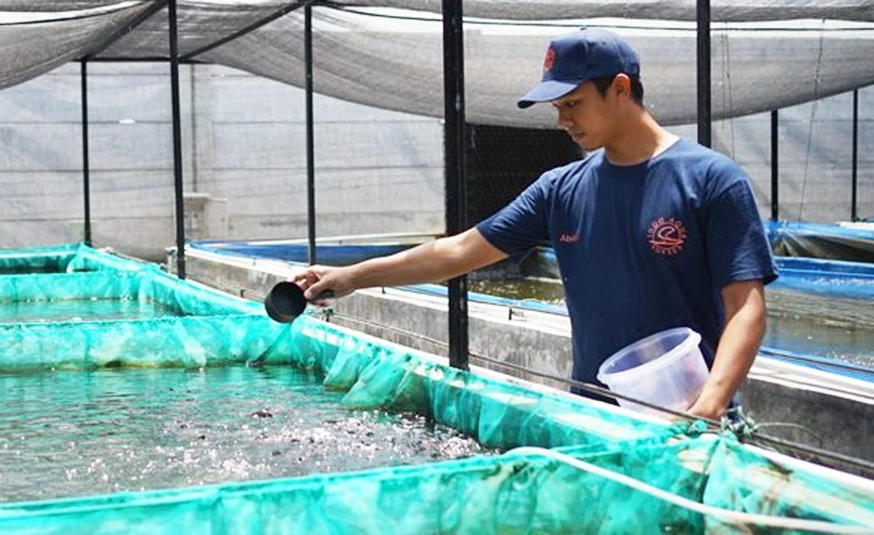 processing limitations of local raw materials