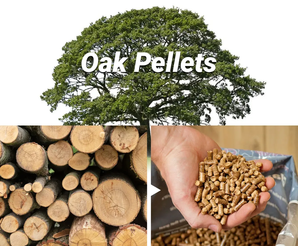 processing oak into oak fuel pellets