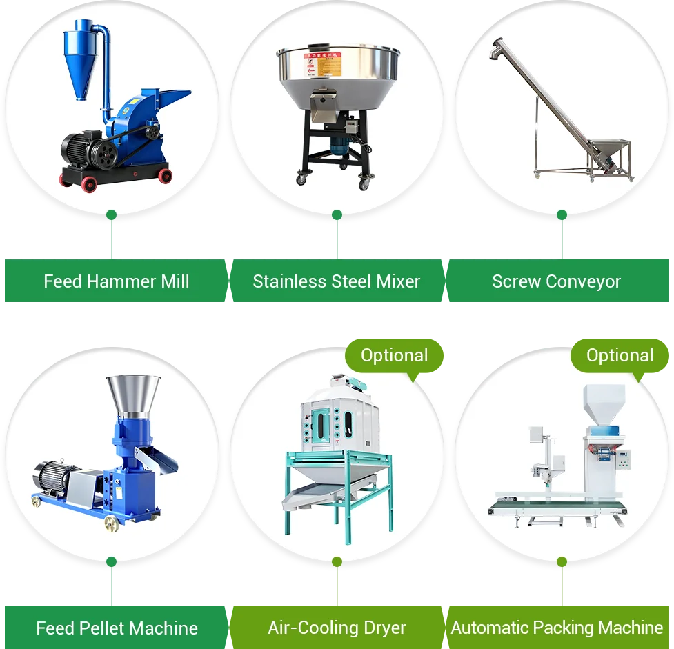 process of semi automatic pig feed line