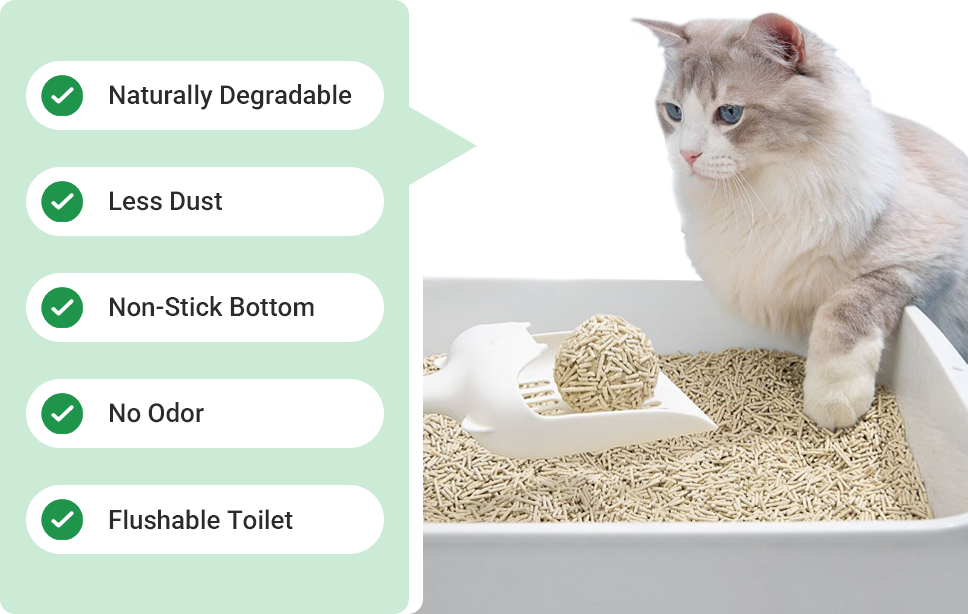 advantages of biodegradable cat litter
