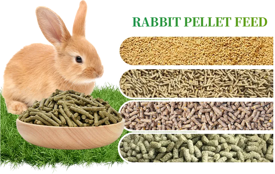 rabbit feed pellet characteristics on feeding and health