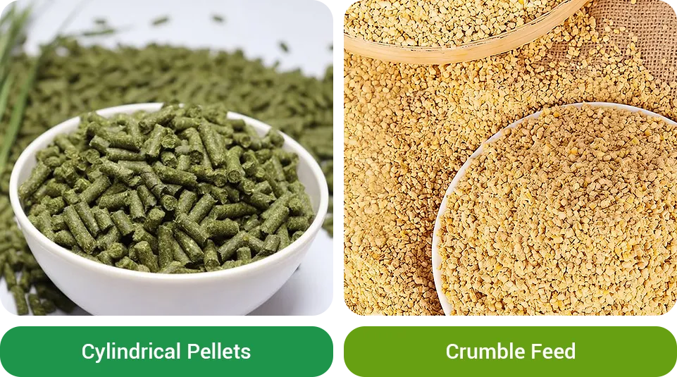 rabbit feed pellet shapes cylindrical vs crushed particles