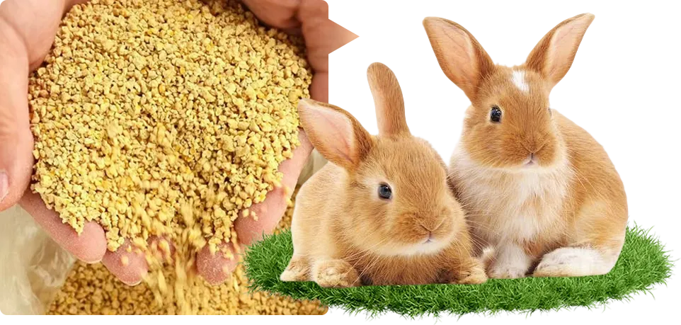 rabbit feed pellet size recommendation 