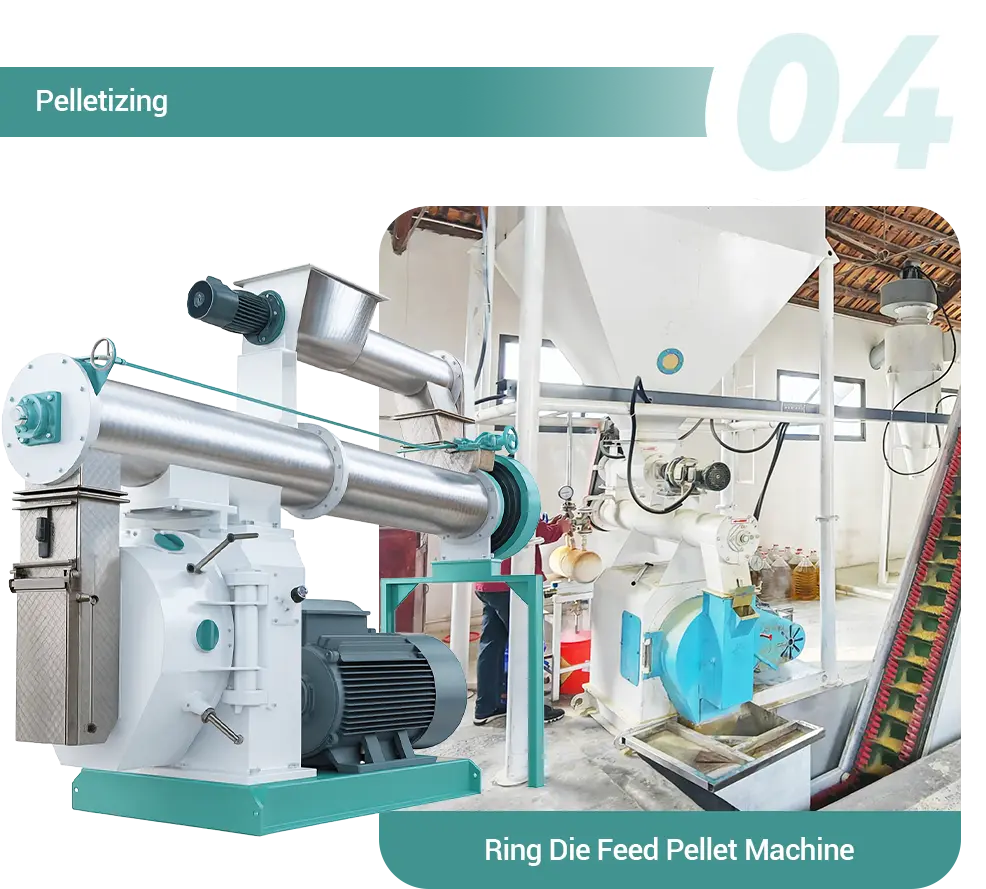 Rabbit Feed Pelleting Equipment
