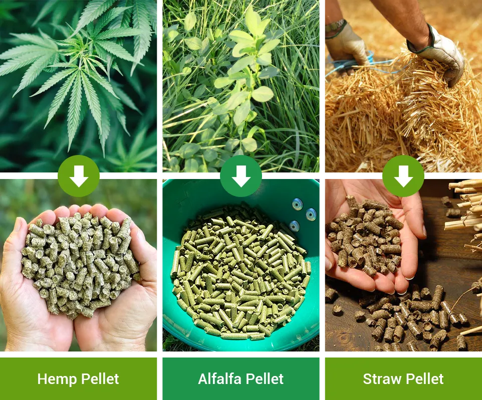 Rabbit Feed Raw Materials