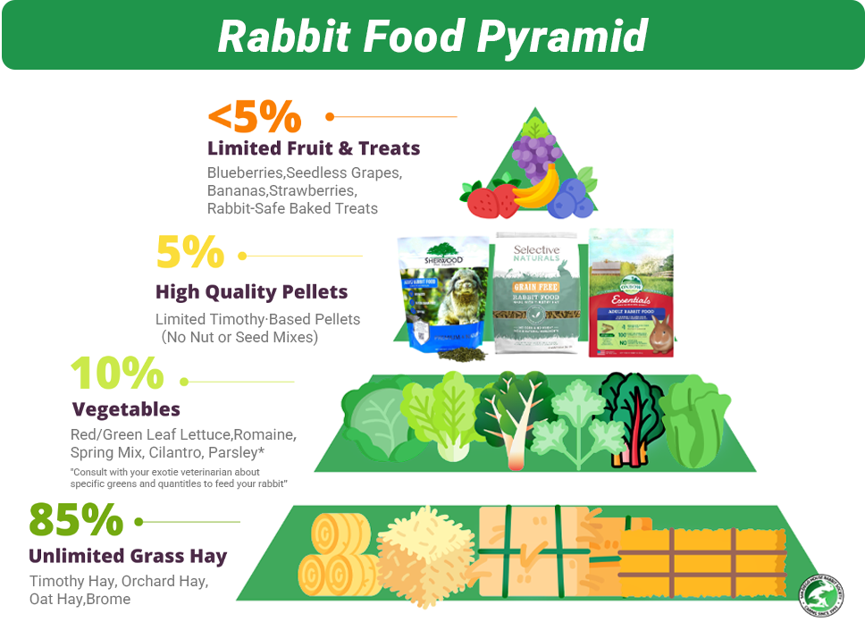 rabbit food pyramid