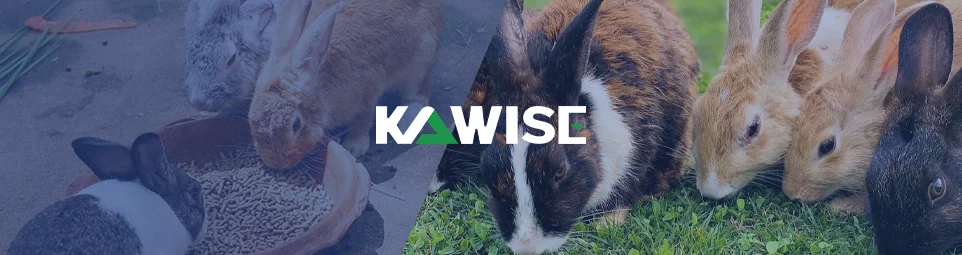 rabbit formula for different stage