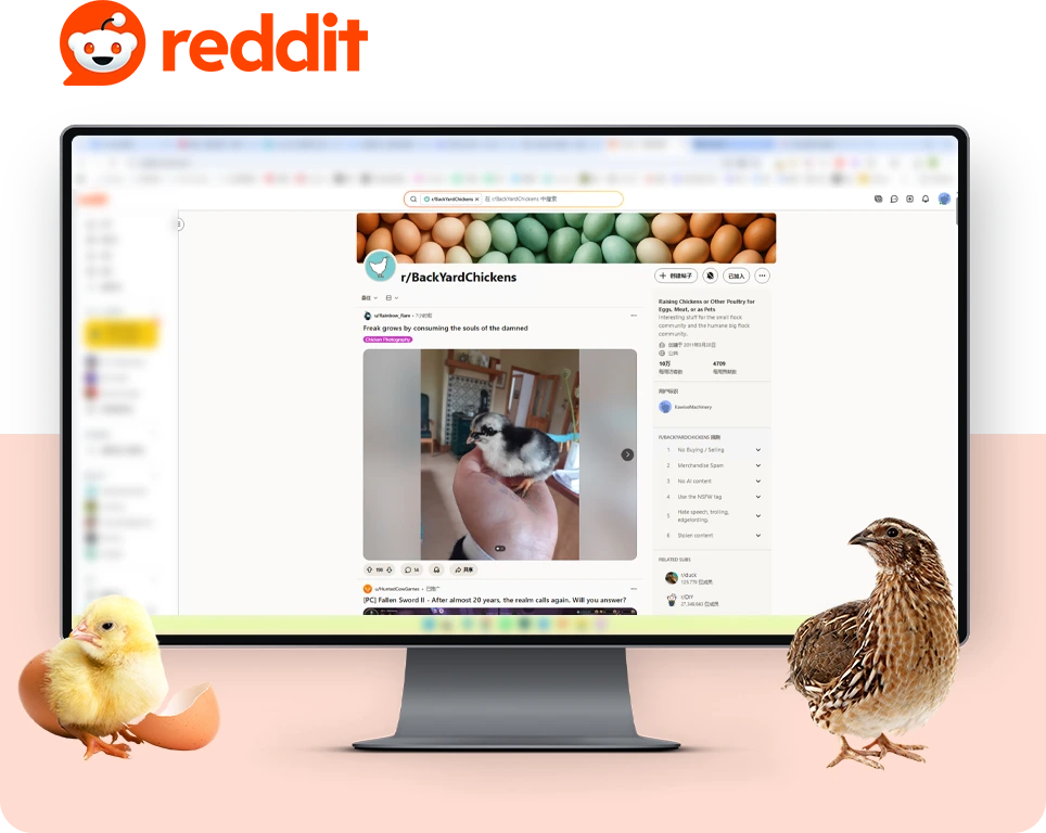 reddit poultry forums
