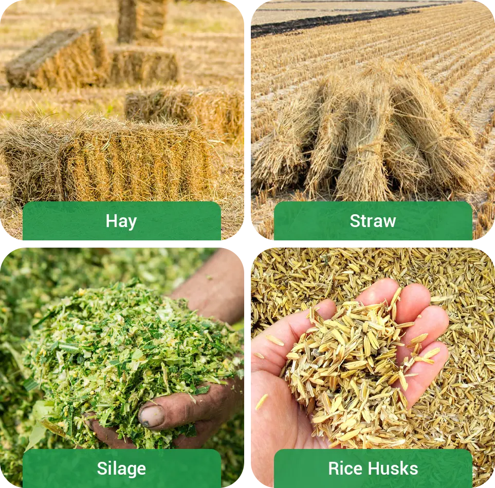 roughages and fiber utilization