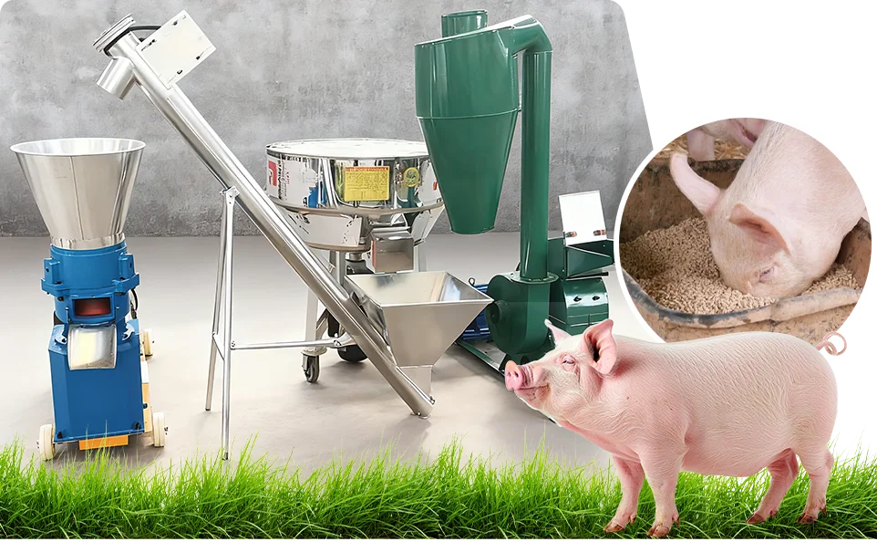 semi automatic pig feed line features