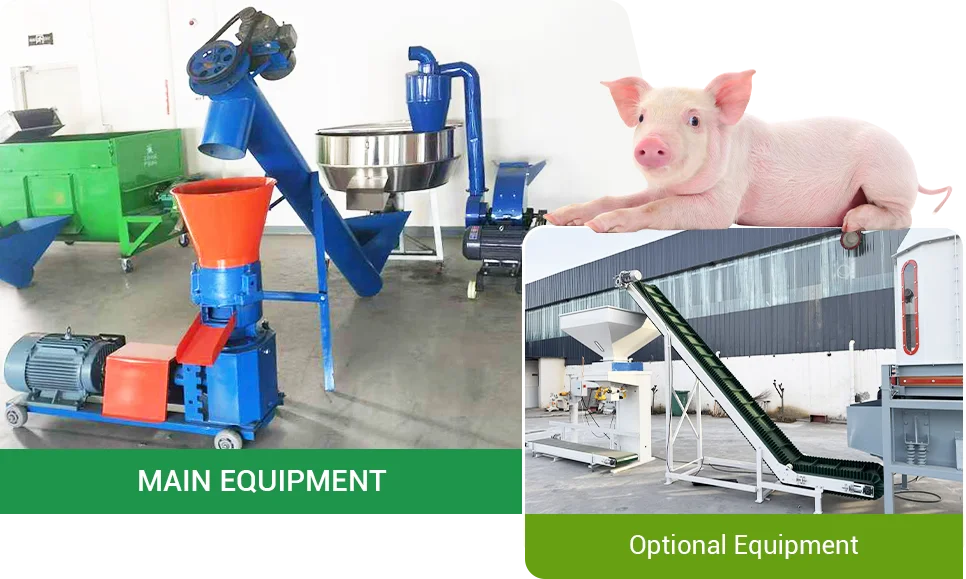 automatic pig feed line introduction
