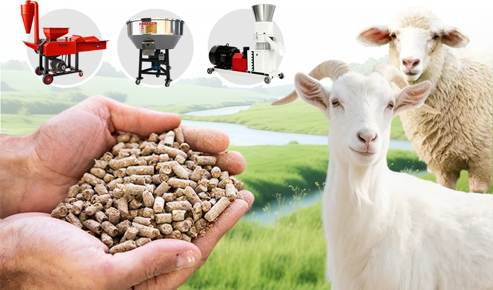 sheep and goat feed producing equipment