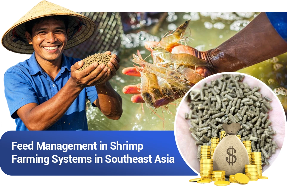 shrimp feed demand in southeast asia