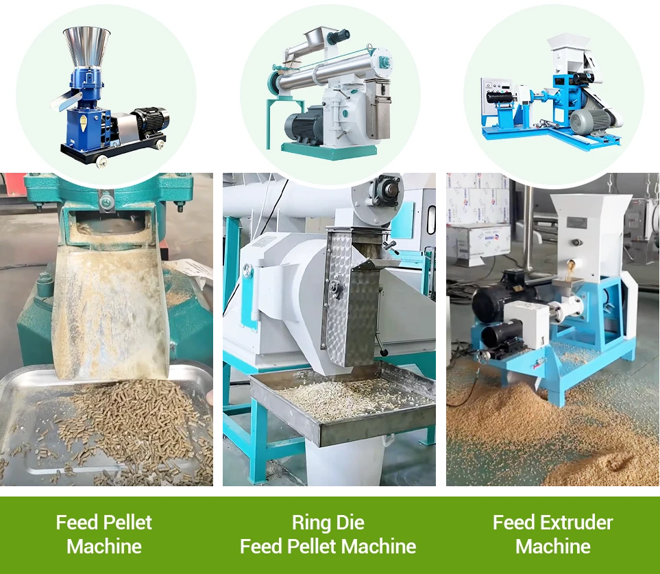 shrimp feed processing solutions by scale