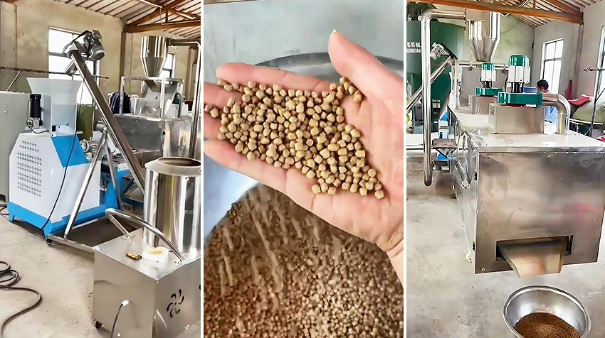 small bullfrog feed production line