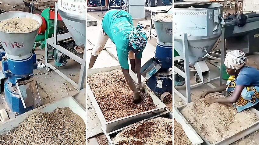 small feed processing site