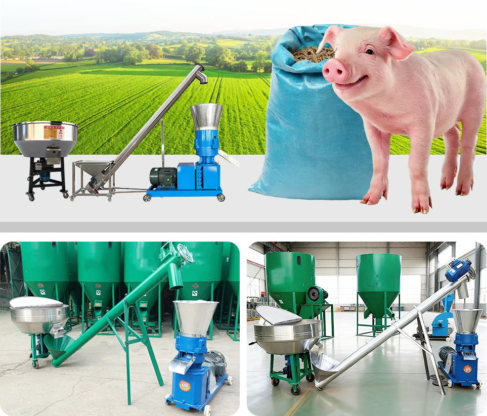 small pig feed pellet line setup and price