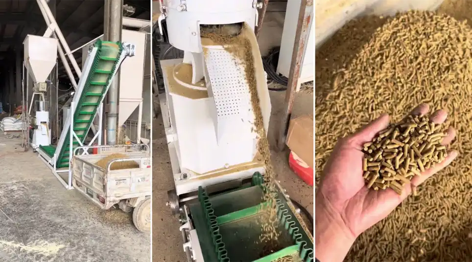 small poultry feed production line customer case