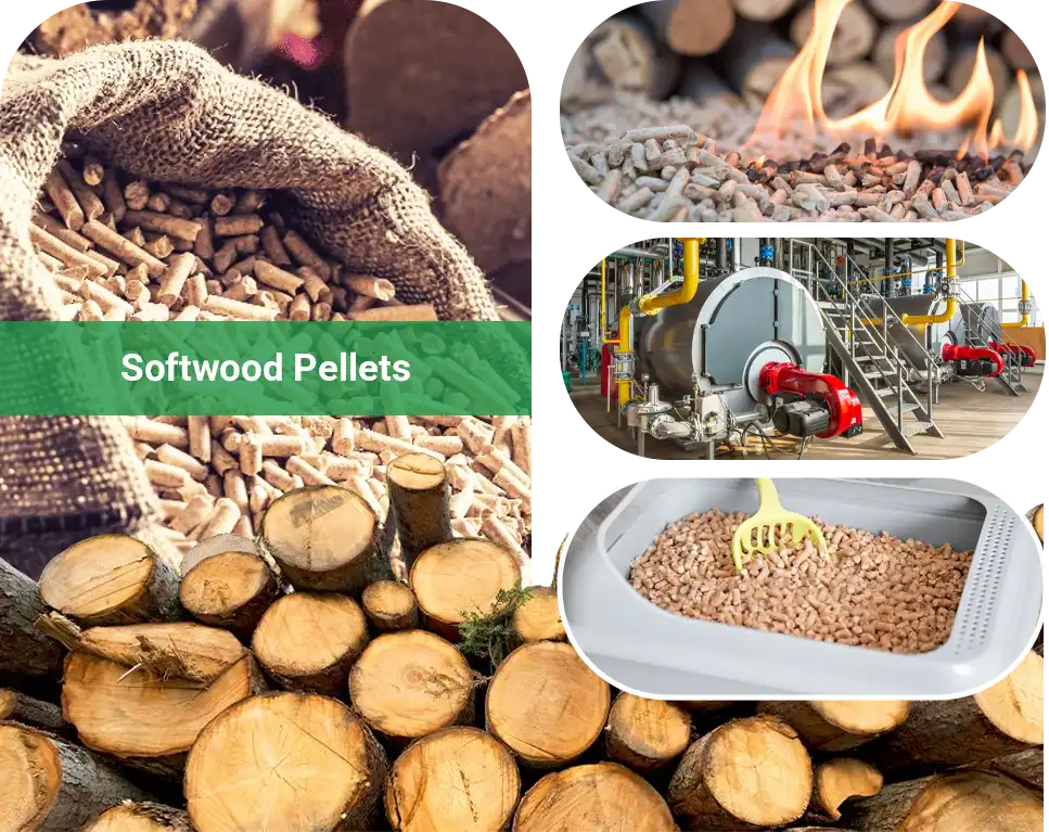softwood pellets production