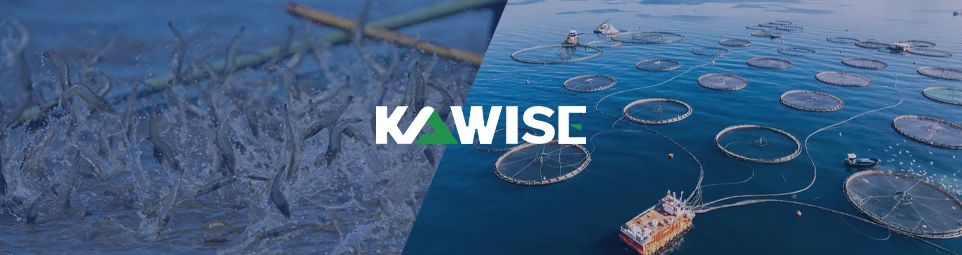 southeast asia shrimp feed production equipment