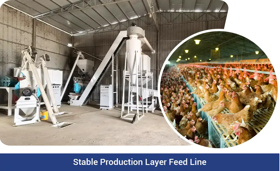 stable layer feed production line