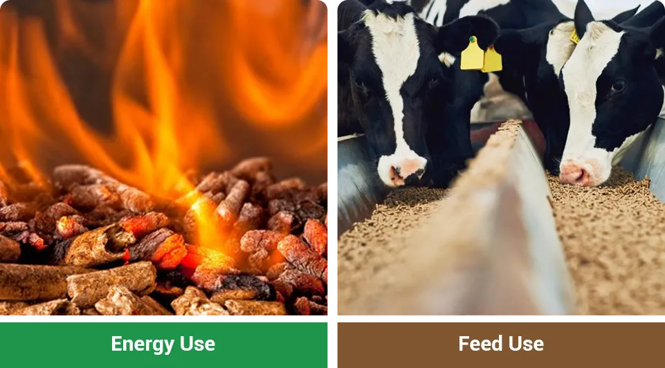 straw for energy or feed use