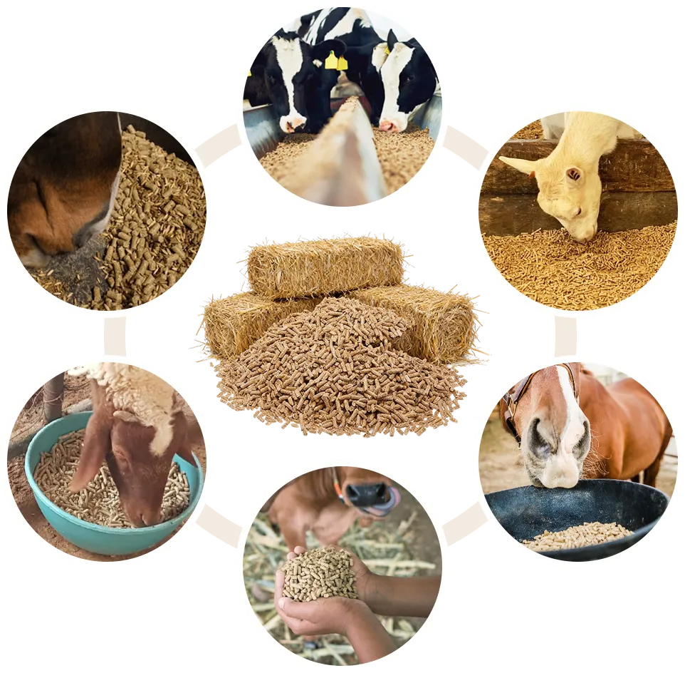 straw pellet for feed use