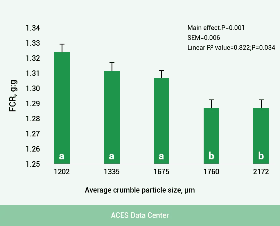 study of feed size for feeding performance
