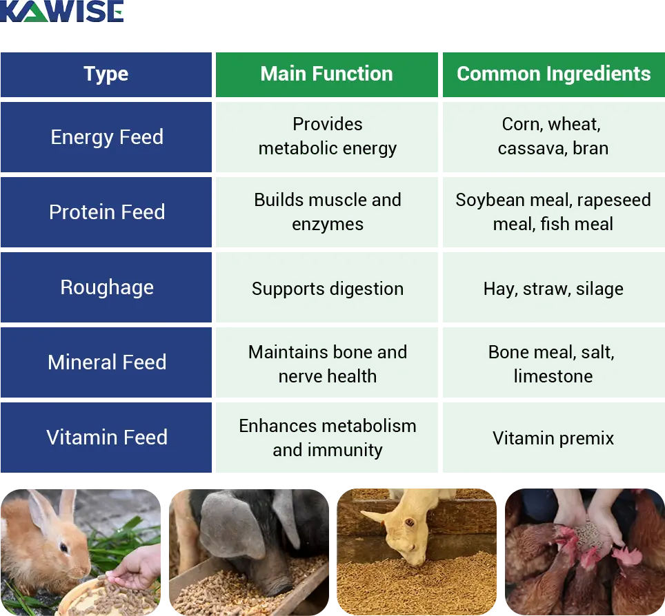 summary of different animal types