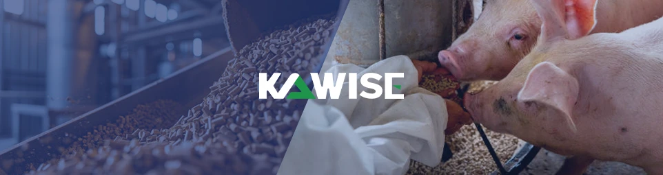 swine nutrition requirement and formulation