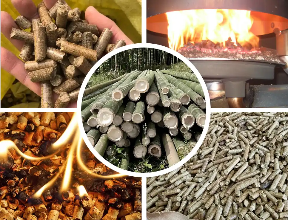 the development prospects of bamboo pellet fuel