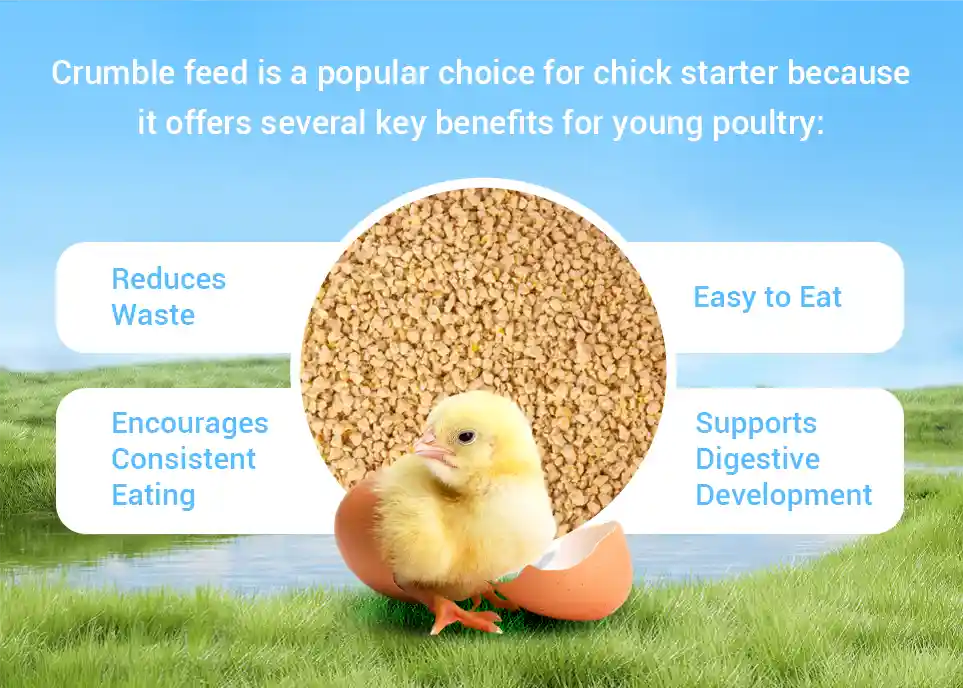 types of chicken feed by grow stage